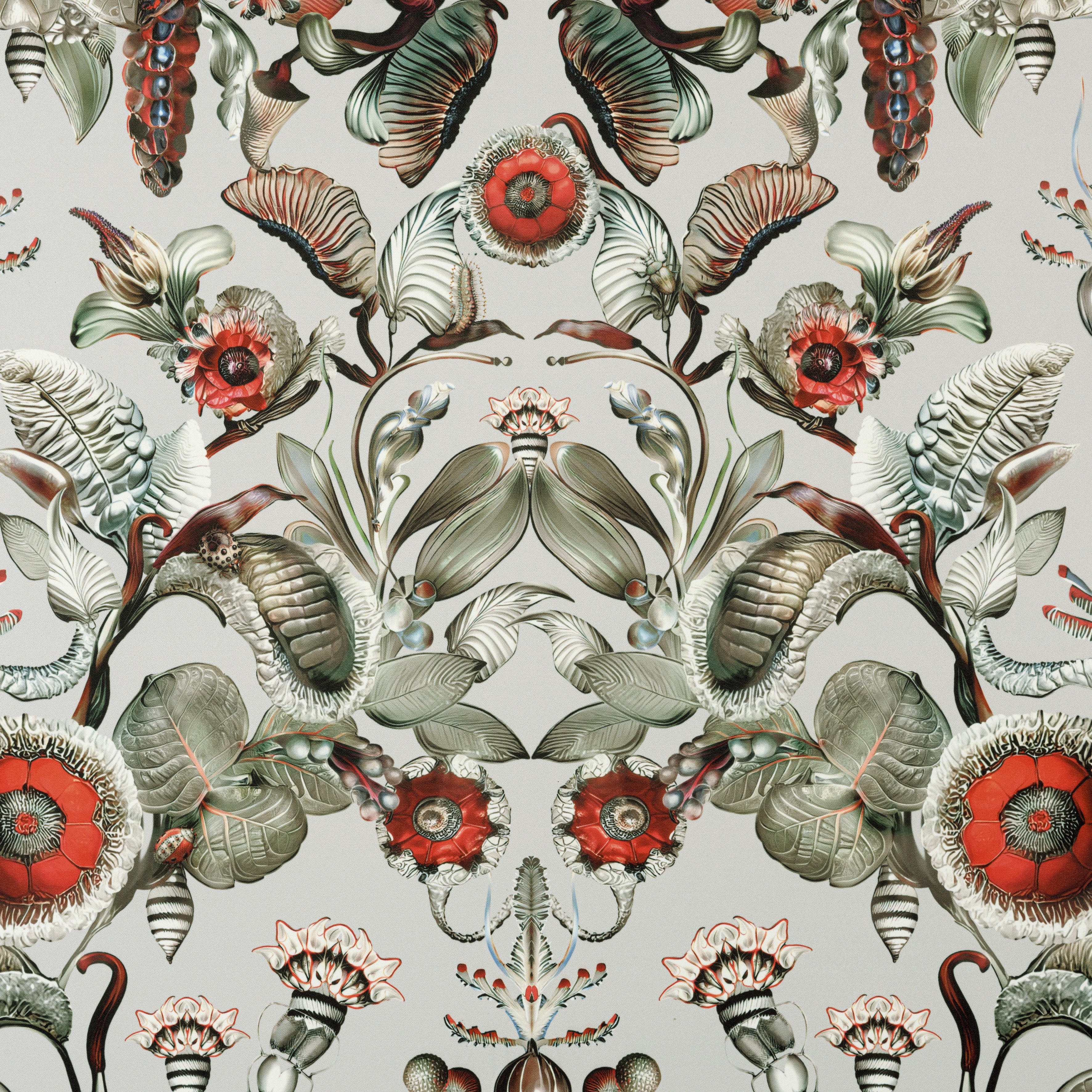 Coccinella Bella Wallcovering - Moooi